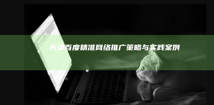 天津百度精准网络推广策略与实践案例